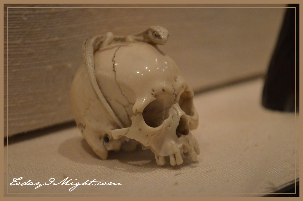todayimight.com | London | British History Museum | Skull Sculpture