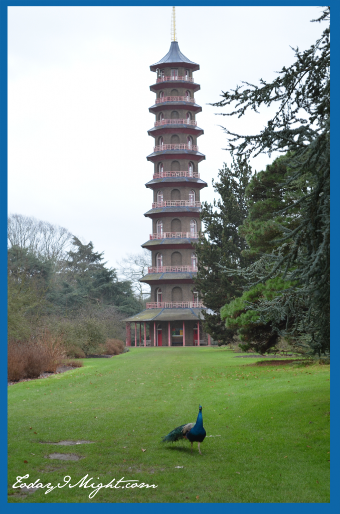 todayimight.com | London | Kew Garden | Pagoda with Peacock
