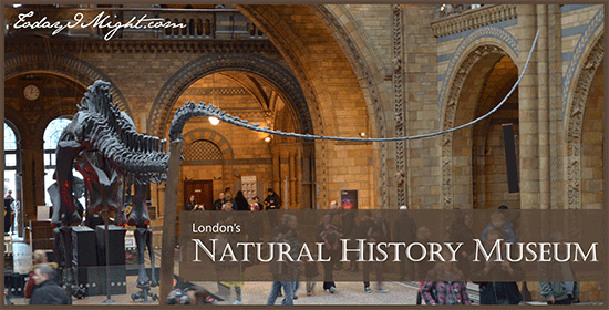 todayimight.com | London | Natural History Museum