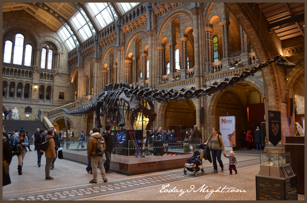 Today I Might | London | Natural History Museum | Diplodocus