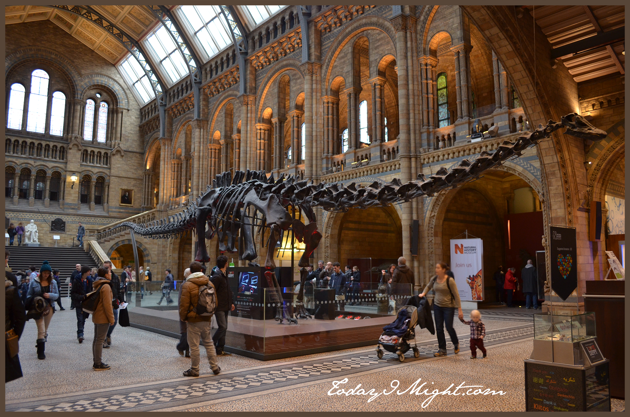 Natural History Museum Dinosaur London