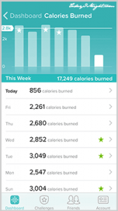 todayimight.com | 7 Motivating Features of the New FitBit Surge | Calorie Burn