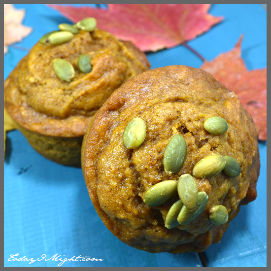 todayimight.com | Pumpkin Seed Topping