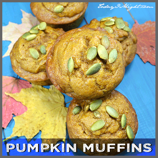 todayimight.com | Pumpkin Muffin Recipe